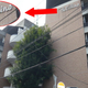 Illustration for article titled This Tokyo Apartment Building Is Named Phil Collins